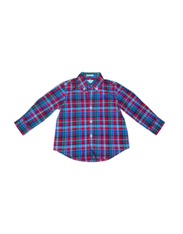 Ralph Lauren Plaid Brushed Cotton Oxford Shirt